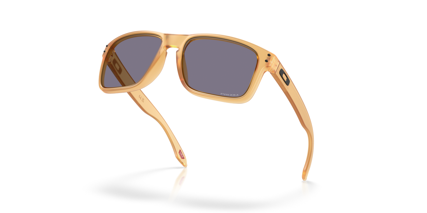 Oakley Holbrook Glasses