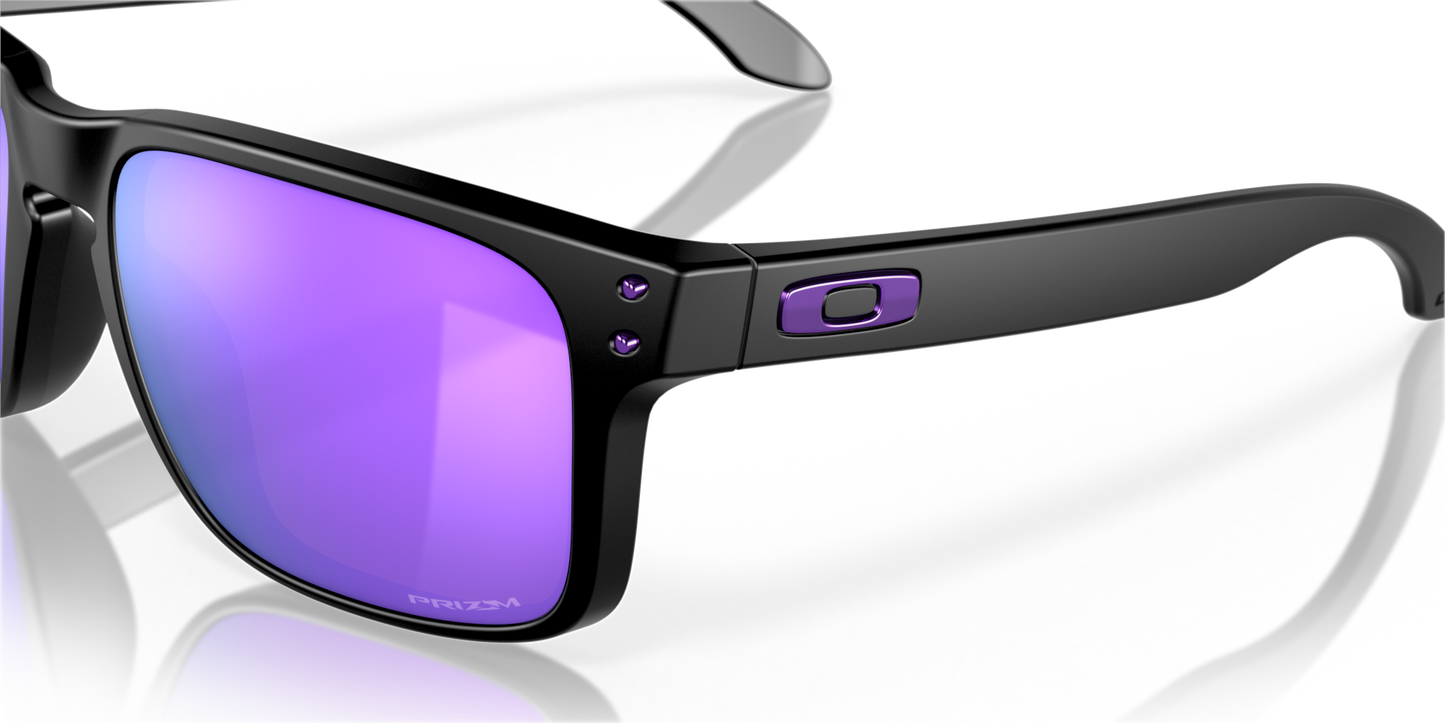 Oakley Holbrook Glasses