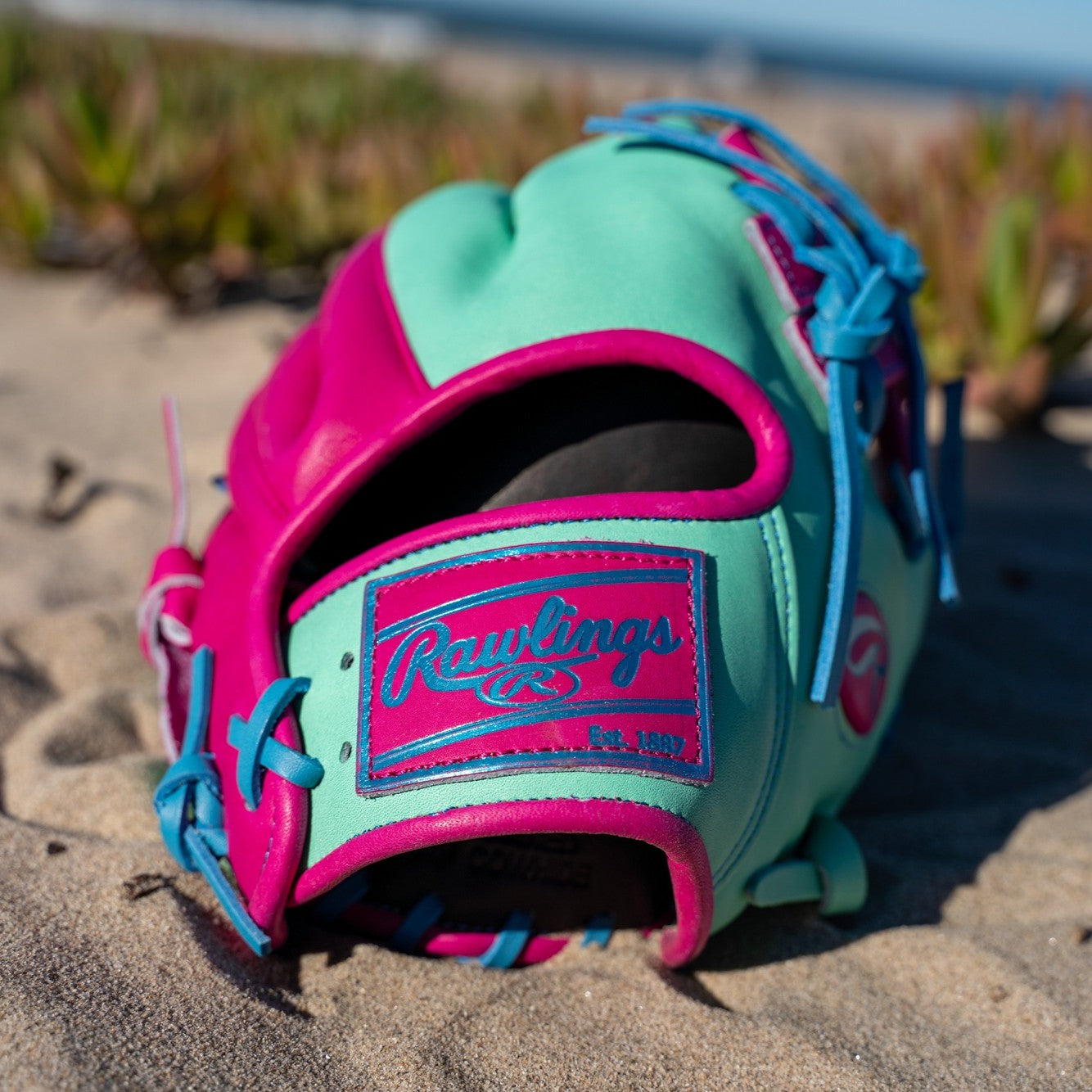 Rawlings Heart Of the Hide Spring Break 11.5" PROR204 Infield Baseball Glove