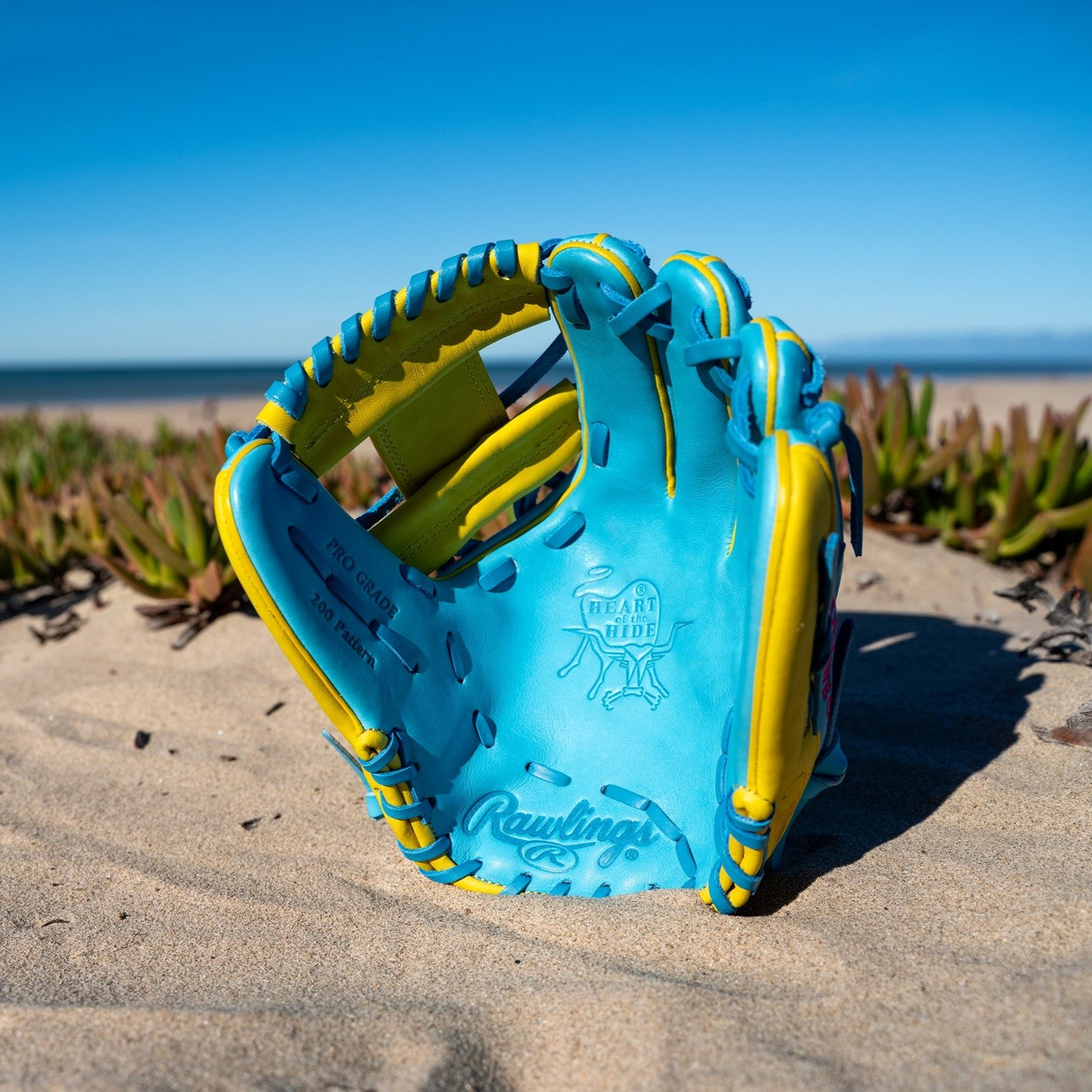 Rawlings Heart Of the Hide Spring Break 11.5" PROR204 Infield Baseball Glove
