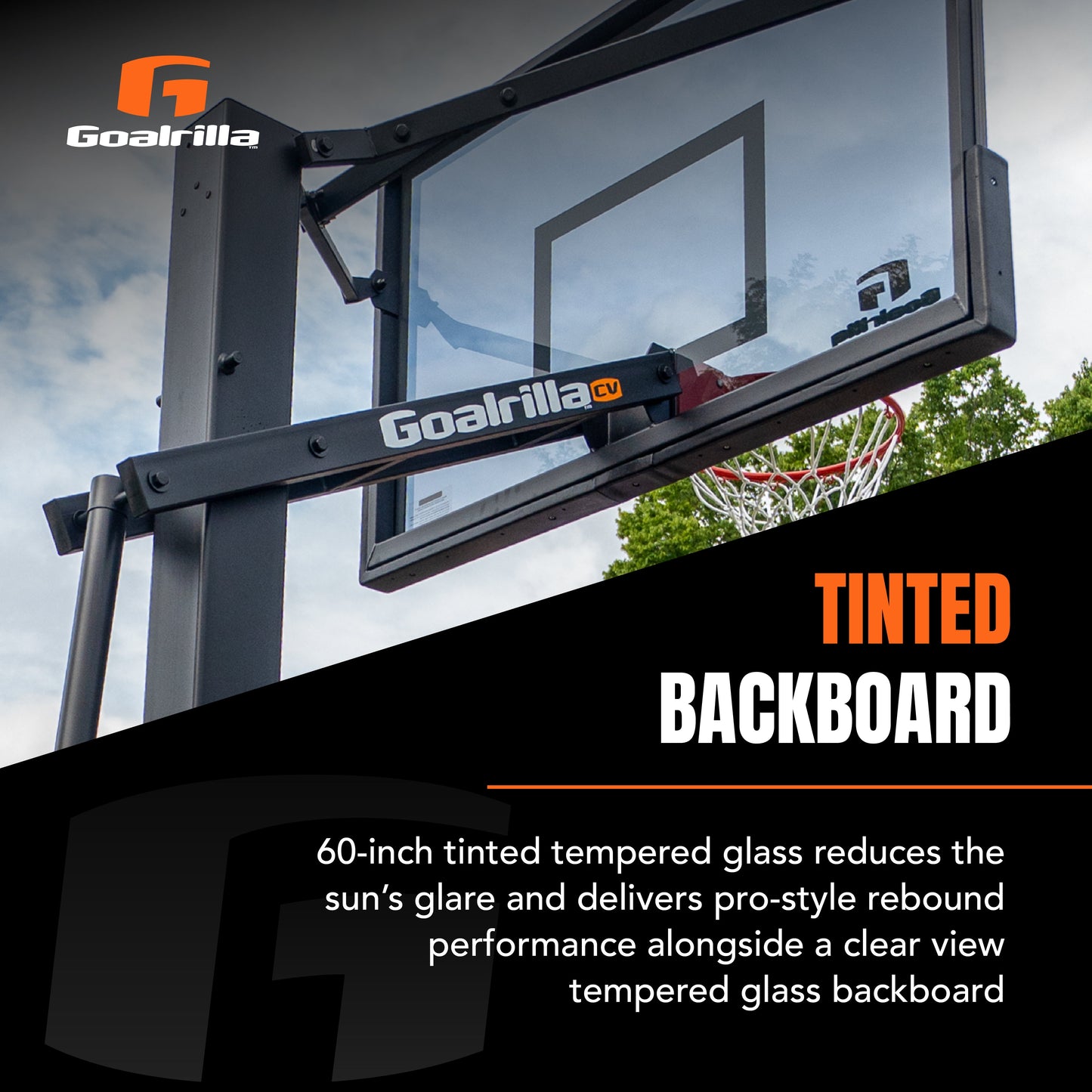 Ultimate Basketball Bundle