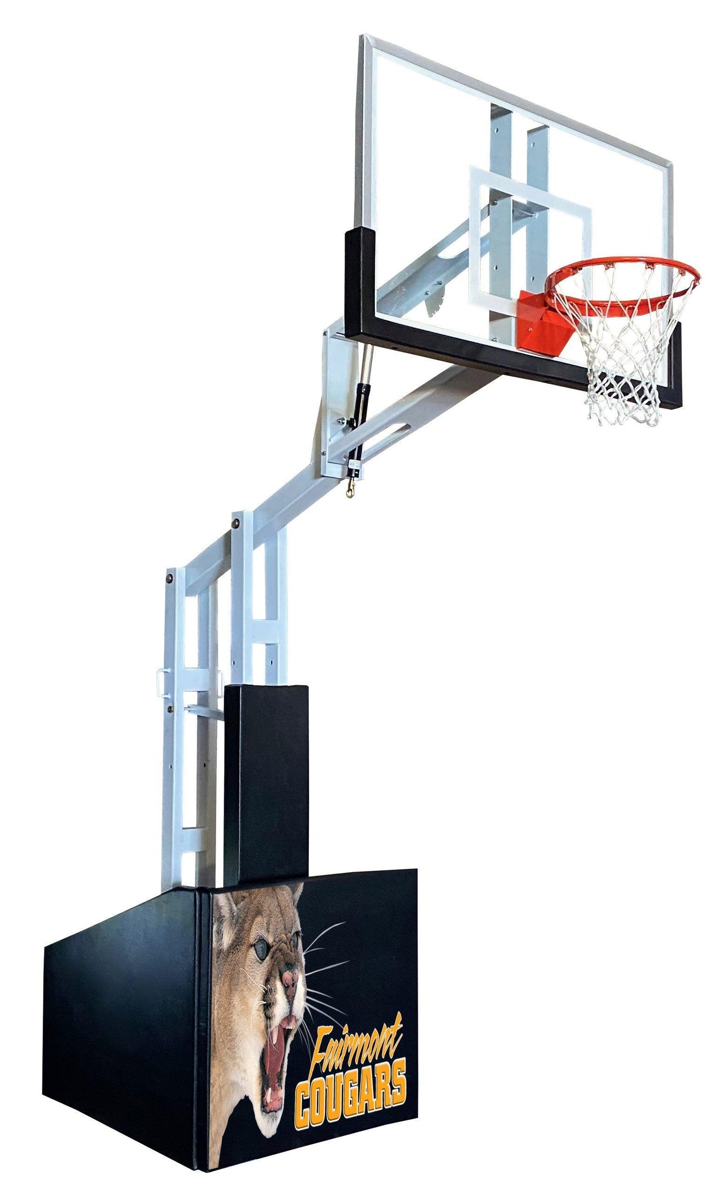 Bison T-Rex Sport Portable Basketball System 60" Glass