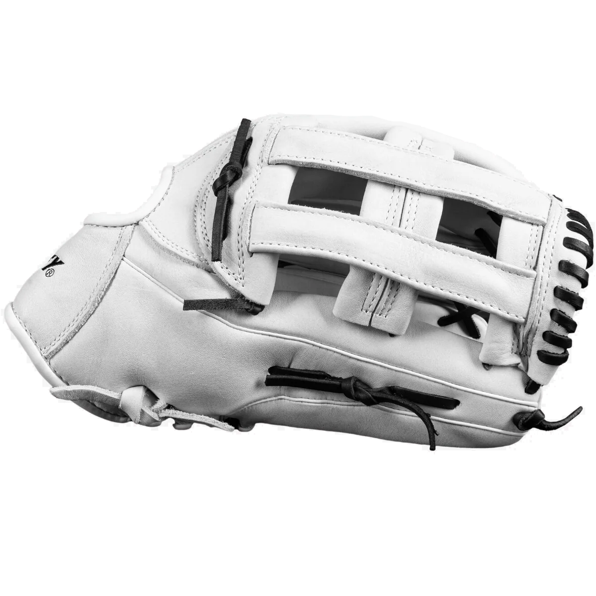 Dudley 14" Slowpitch Glove: DFG14H