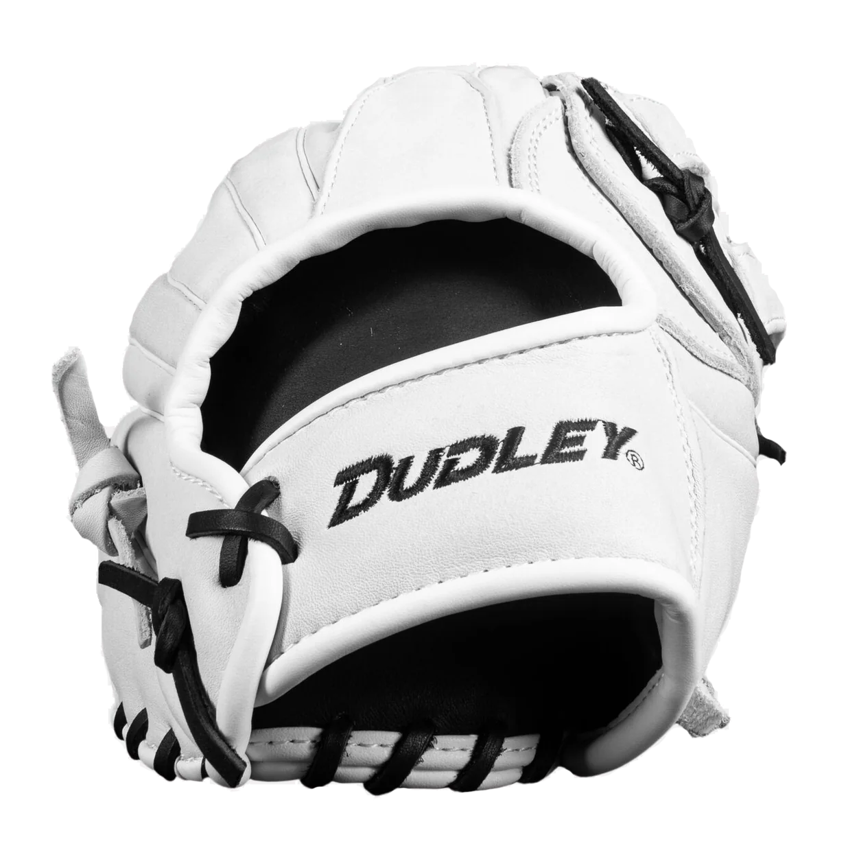 Dudley 14" Slowpitch Glove: DFG14H