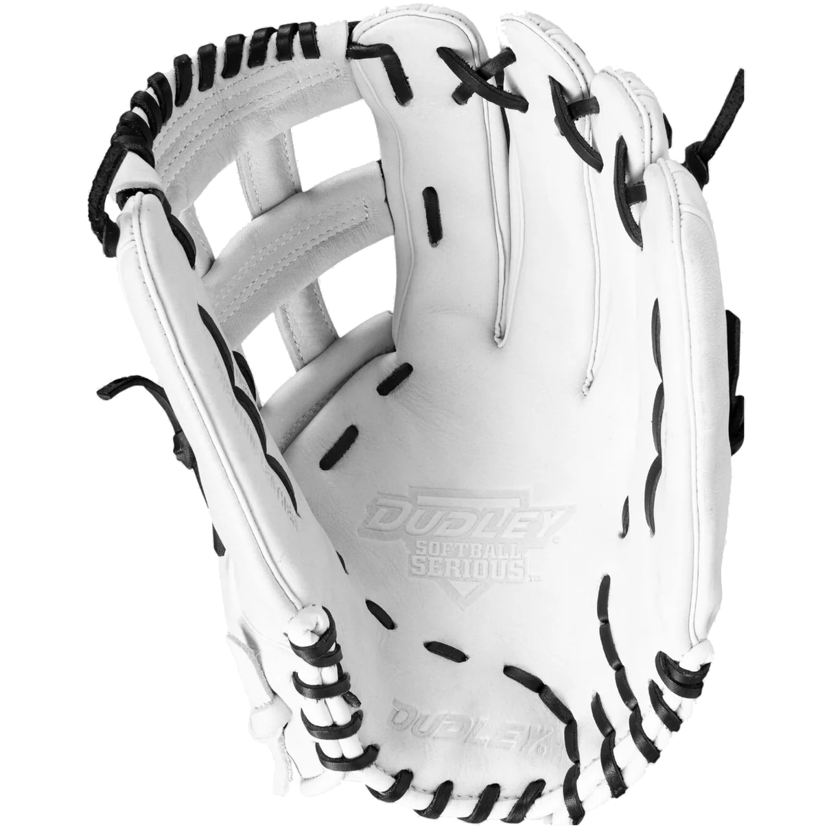 Dudley 13" Slowpitch Glove: DFG13H