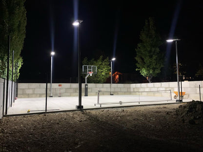 Dominator Basketball Court Light – Full Assembly