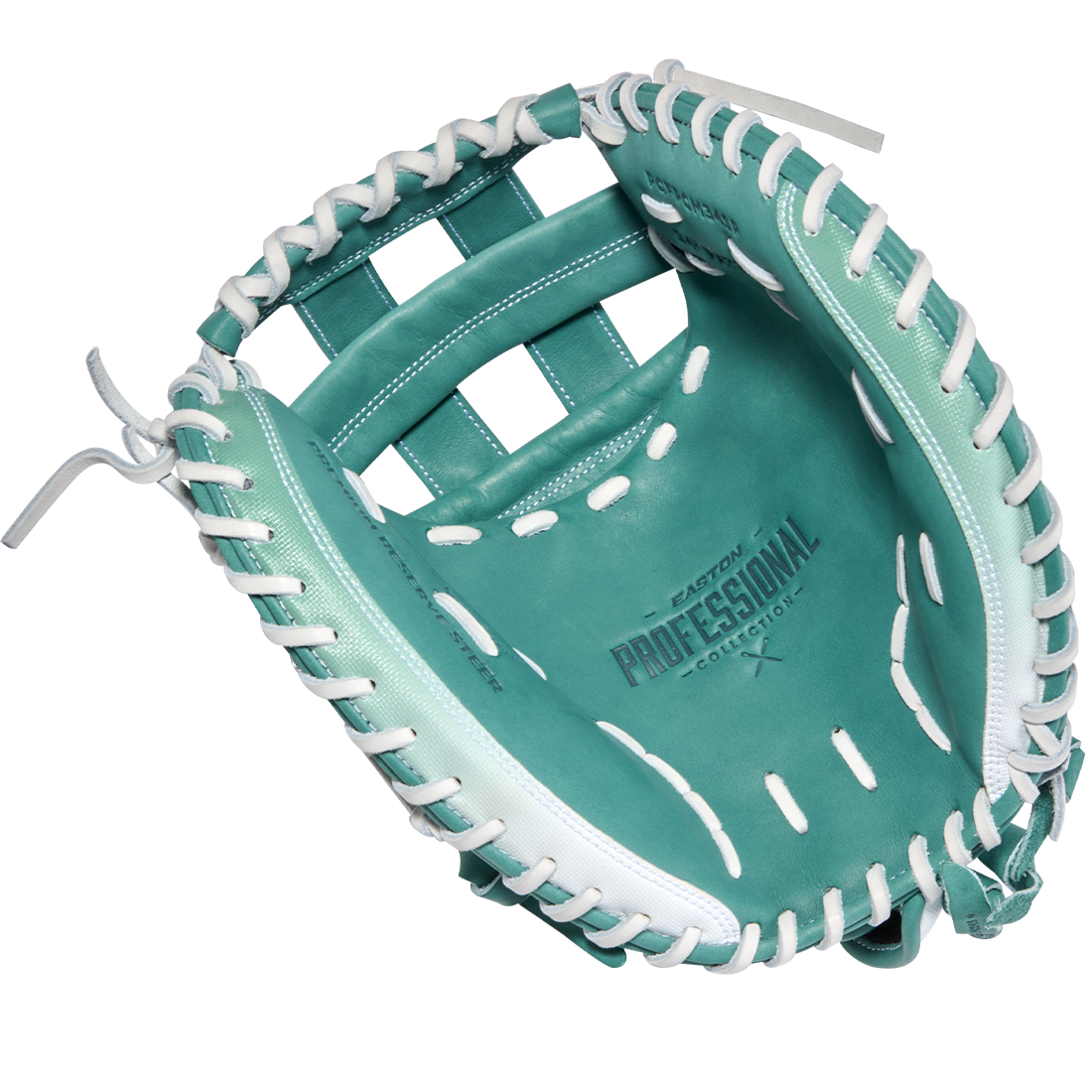 Easton Professional Collection Color Splash 3.0 34” Fastpitch Catcher’s Mitt: PCFPCM34SP