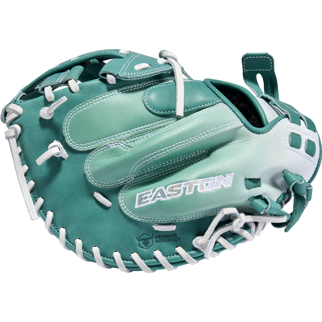 Easton Professional Collection Color Splash 3.0 34” Fastpitch Catcher’s Mitt: PCFPCM34SP