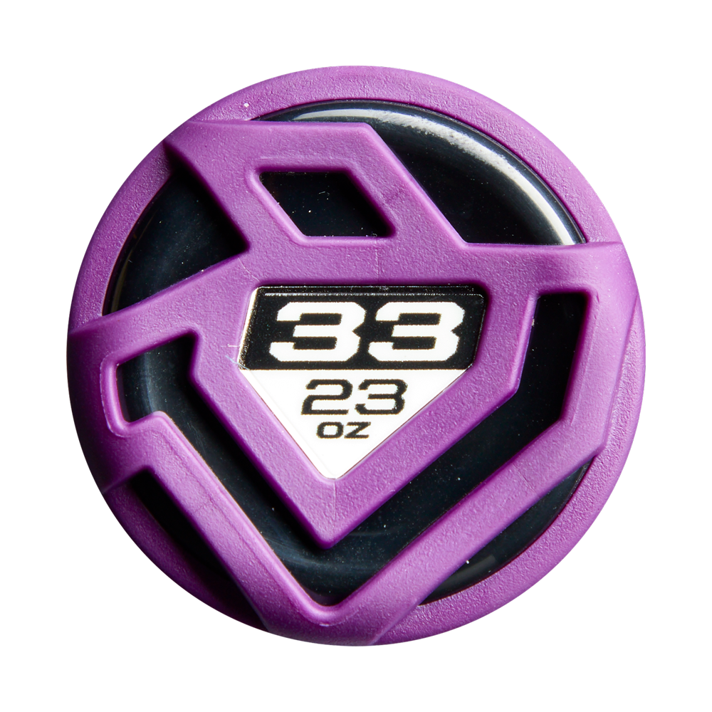 2027 DeMarini Vizion (-10) Fastpitch Softball Bat: WBD2728010