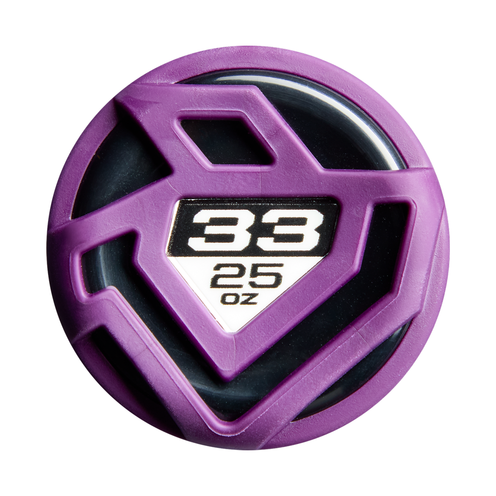 2027 DeMarini Vizion (-8) Fastpitch Softball Bat: WBD2730010