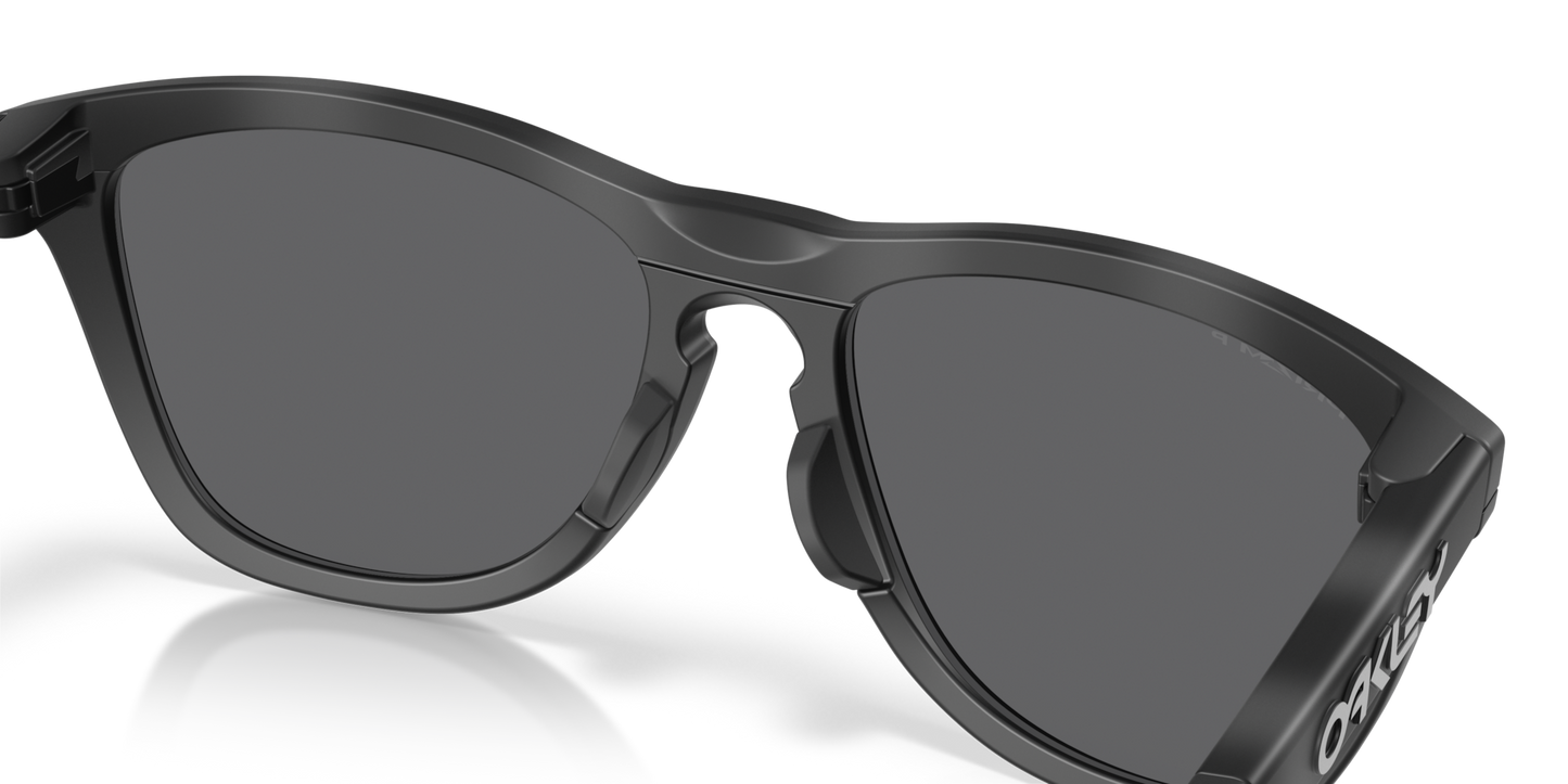 Oakley Frogskins Range XL Glasses