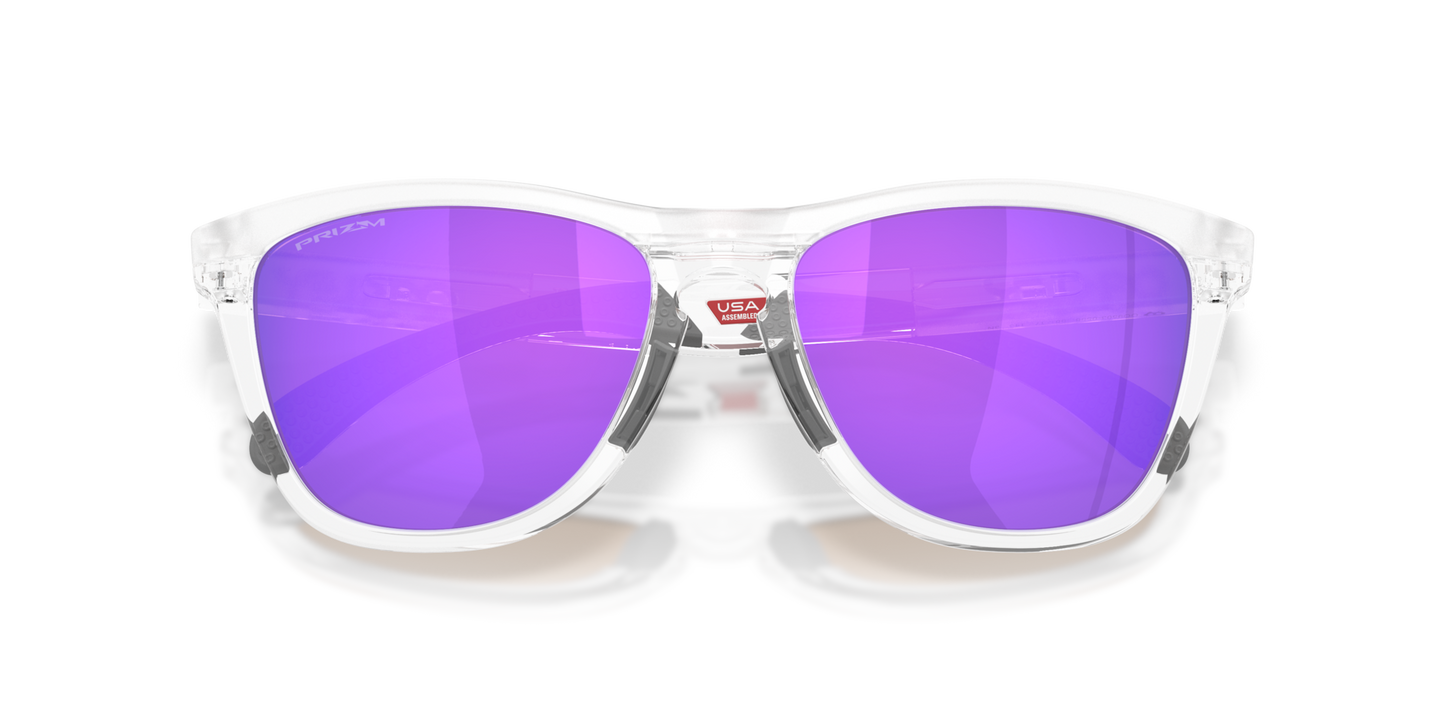 Oakley Frogskins Range XL Glasses