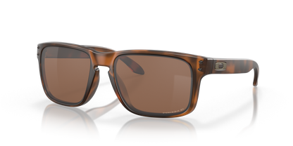 Oakley Holbrook Glasses