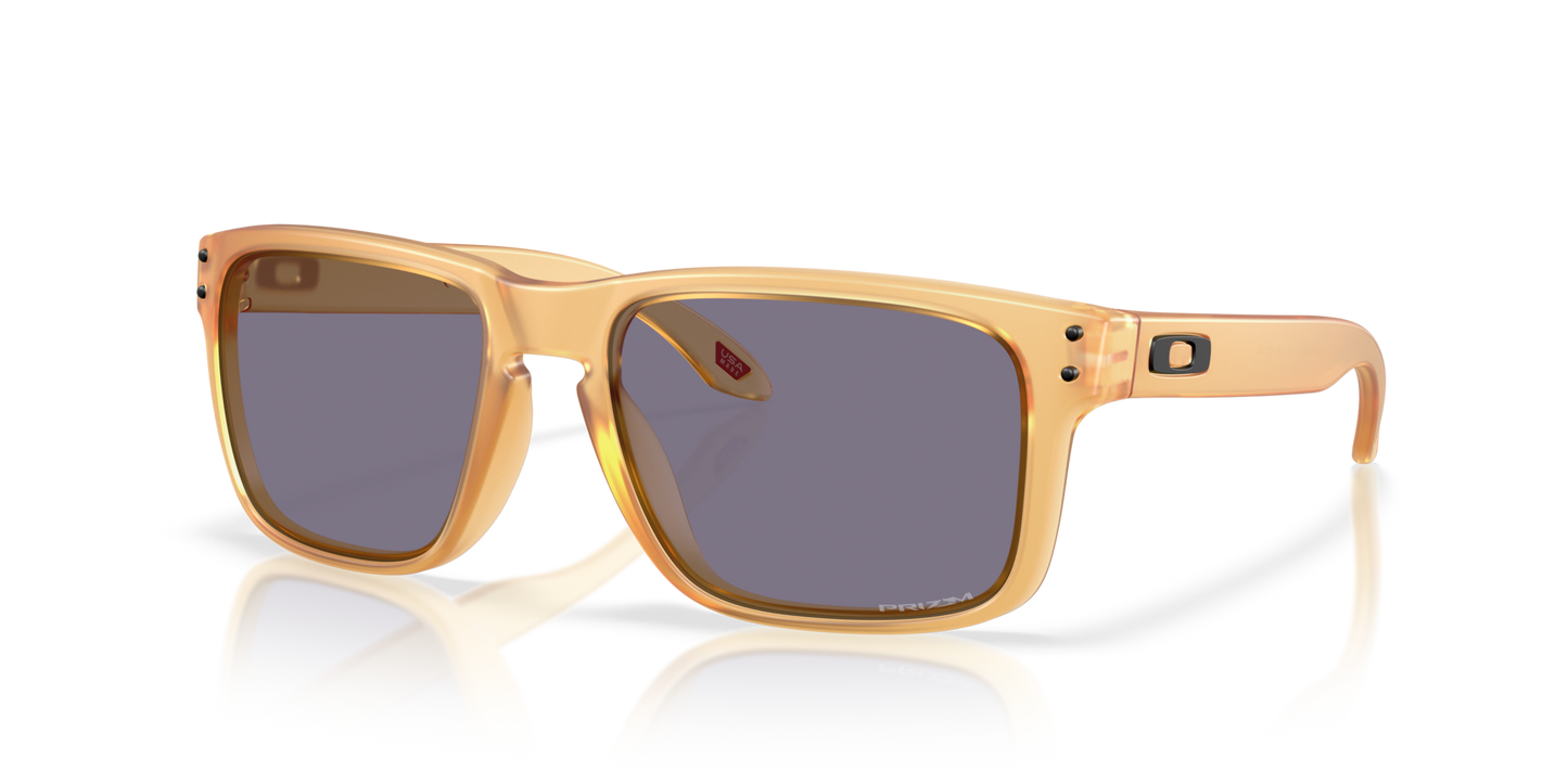 Oakley Holbrook Glasses
