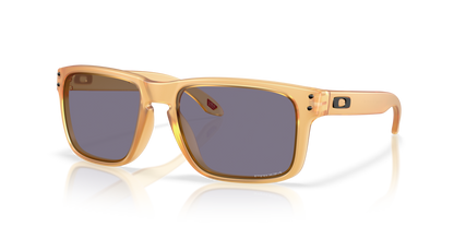 Oakley Holbrook Glasses