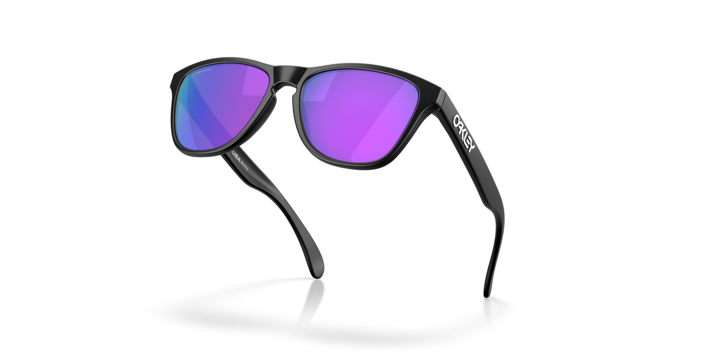 Oakley Frogskins S Glasses