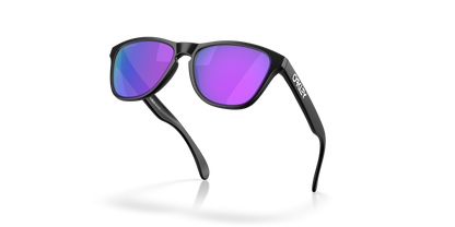 Oakley Frogskins S Glasses