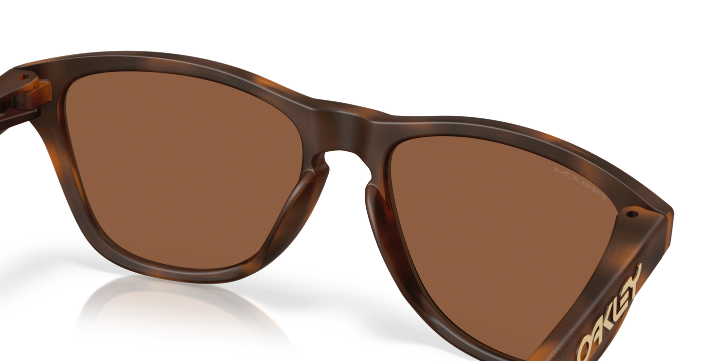 Oakley Frogskins S Glasses