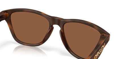 Oakley Frogskins S Glasses