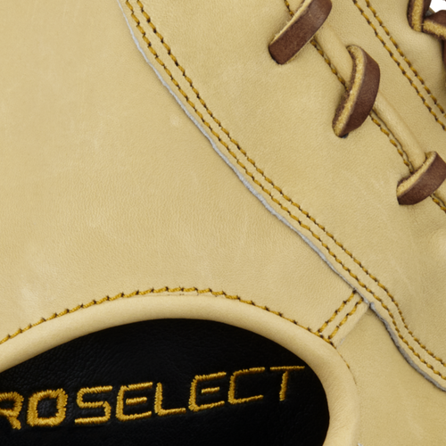 Mizuno GPS-30 Pro Select Baseball Glove