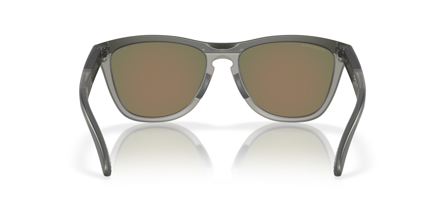 Oakley Frogskins Range Glasses