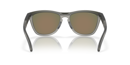 Oakley Frogskins Range Glasses