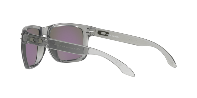 Oakley Holbrook XL Glasses