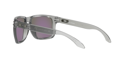 Oakley Holbrook XL Glasses