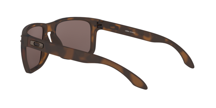 Oakley Holbrook XL Glasses