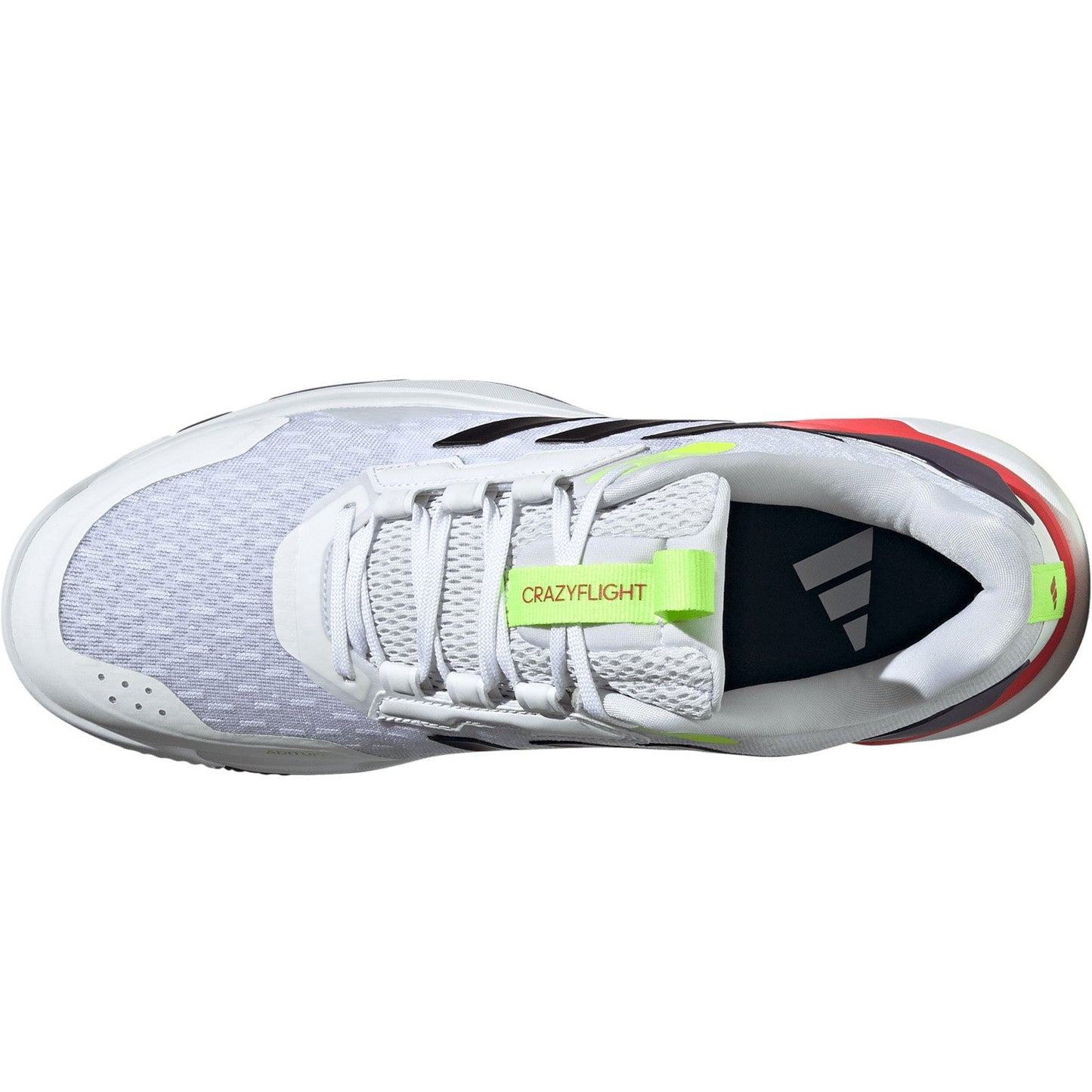Crazyflight 6 Men's Volleyball Shoes