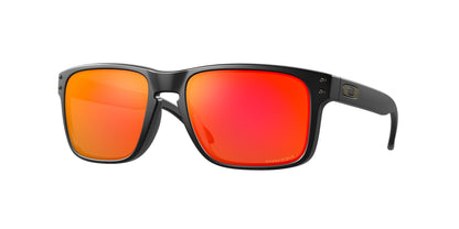 Oakley Holbrook Glasses