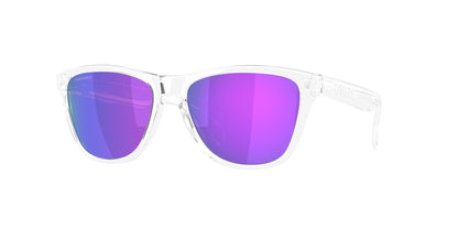 Oakley Frogskins S Glasses