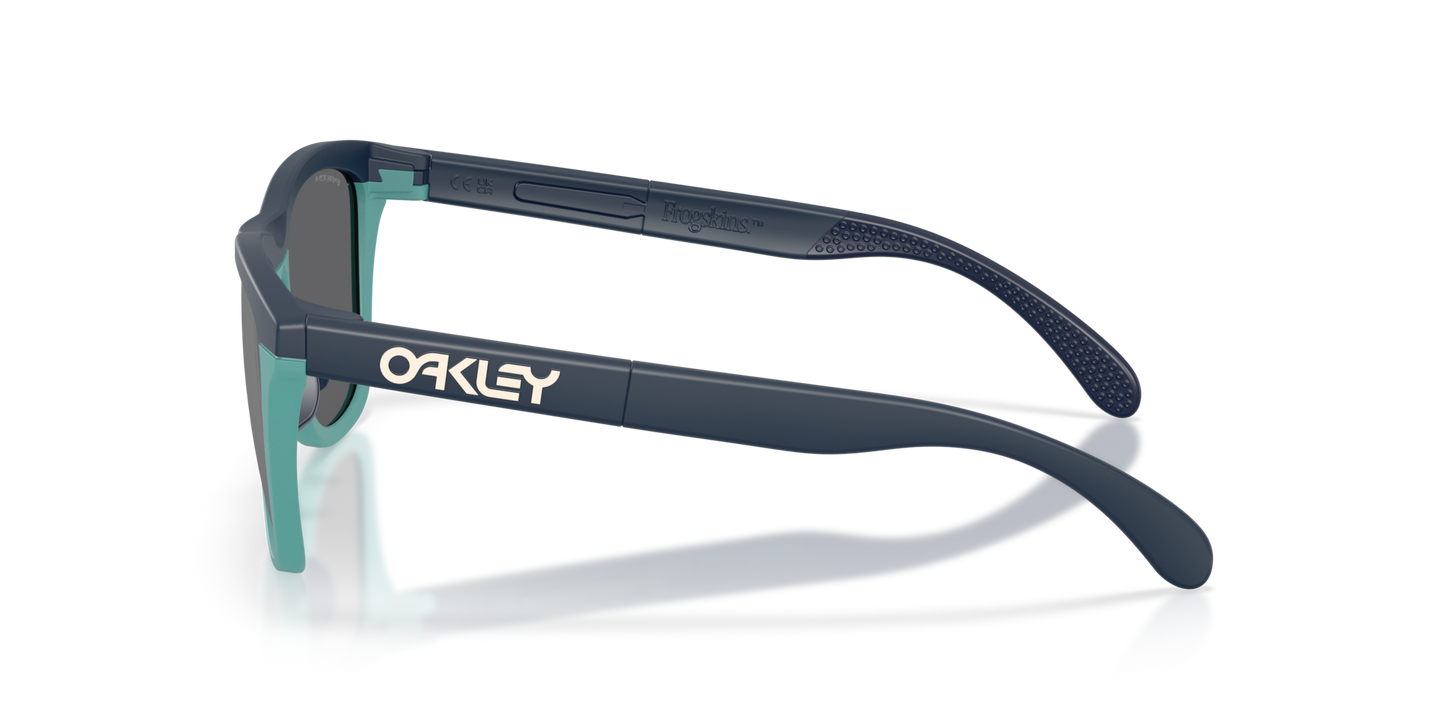Oakley Frogskins Range Glasses