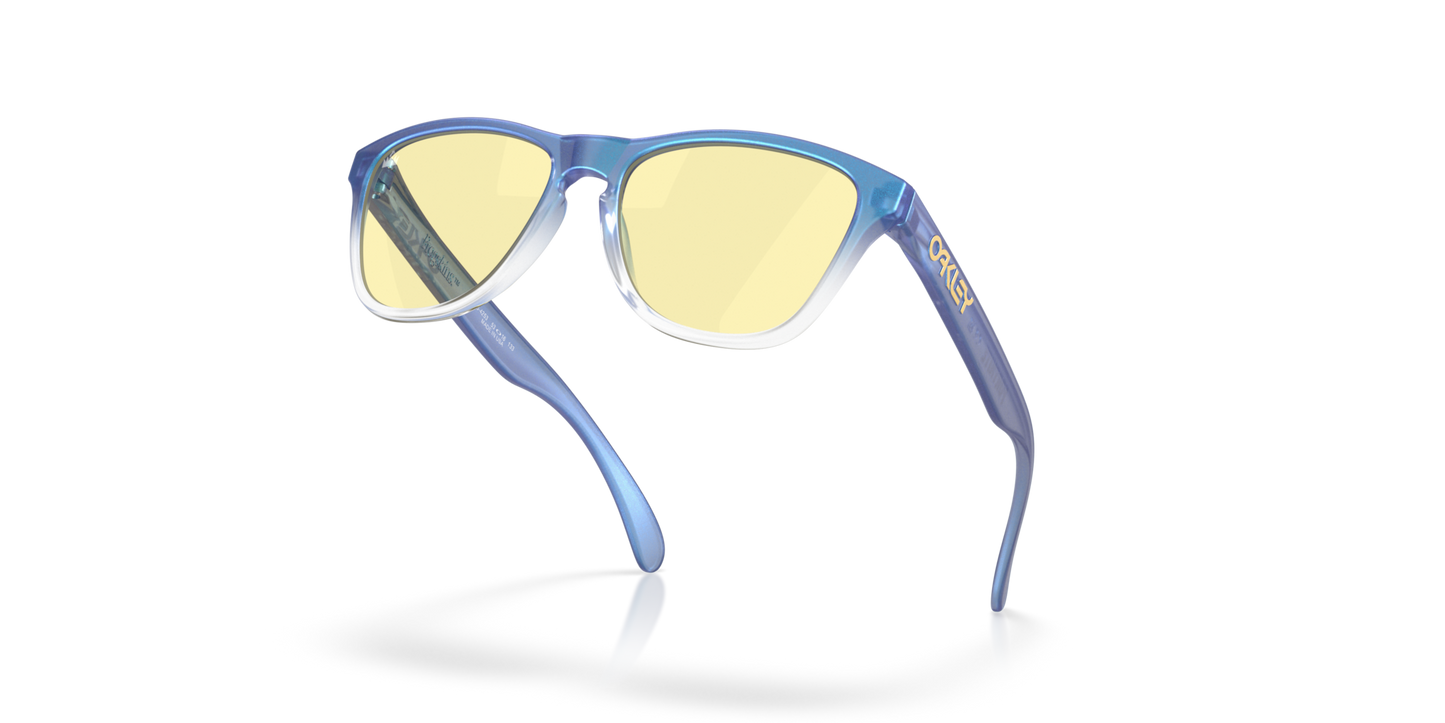 Oakley Frogskins XS Glasses