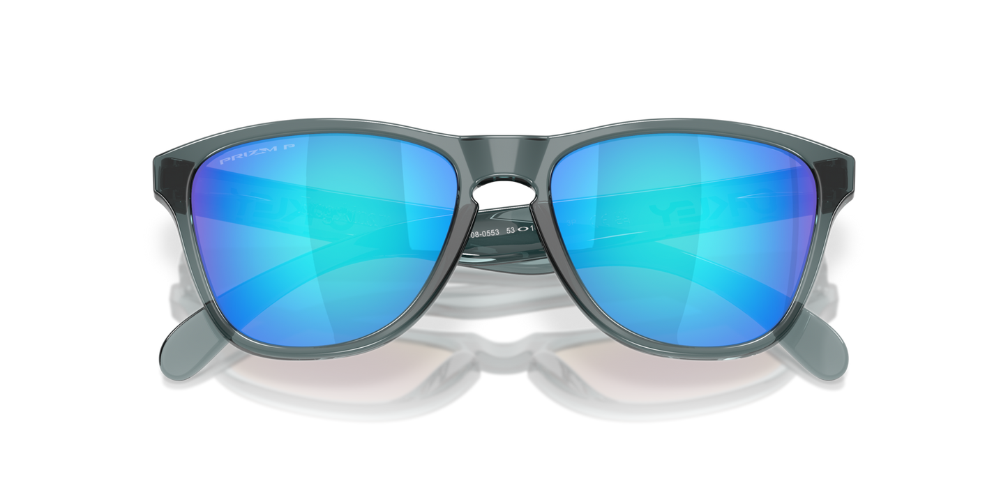 Oakley Frogskins S Glasses