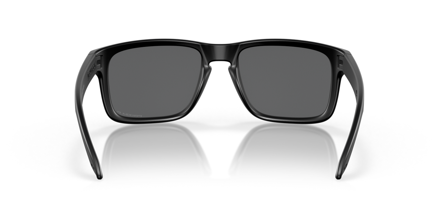 Oakley Holbrook Glasses