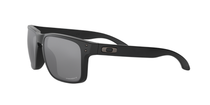 Oakley Holbrook Glasses