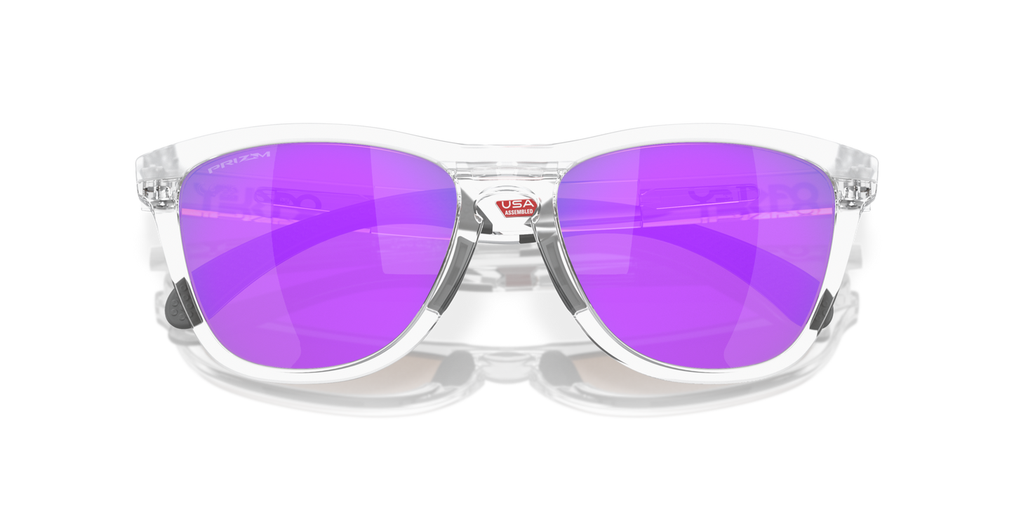 Oakley Frogskins Range Glasses
