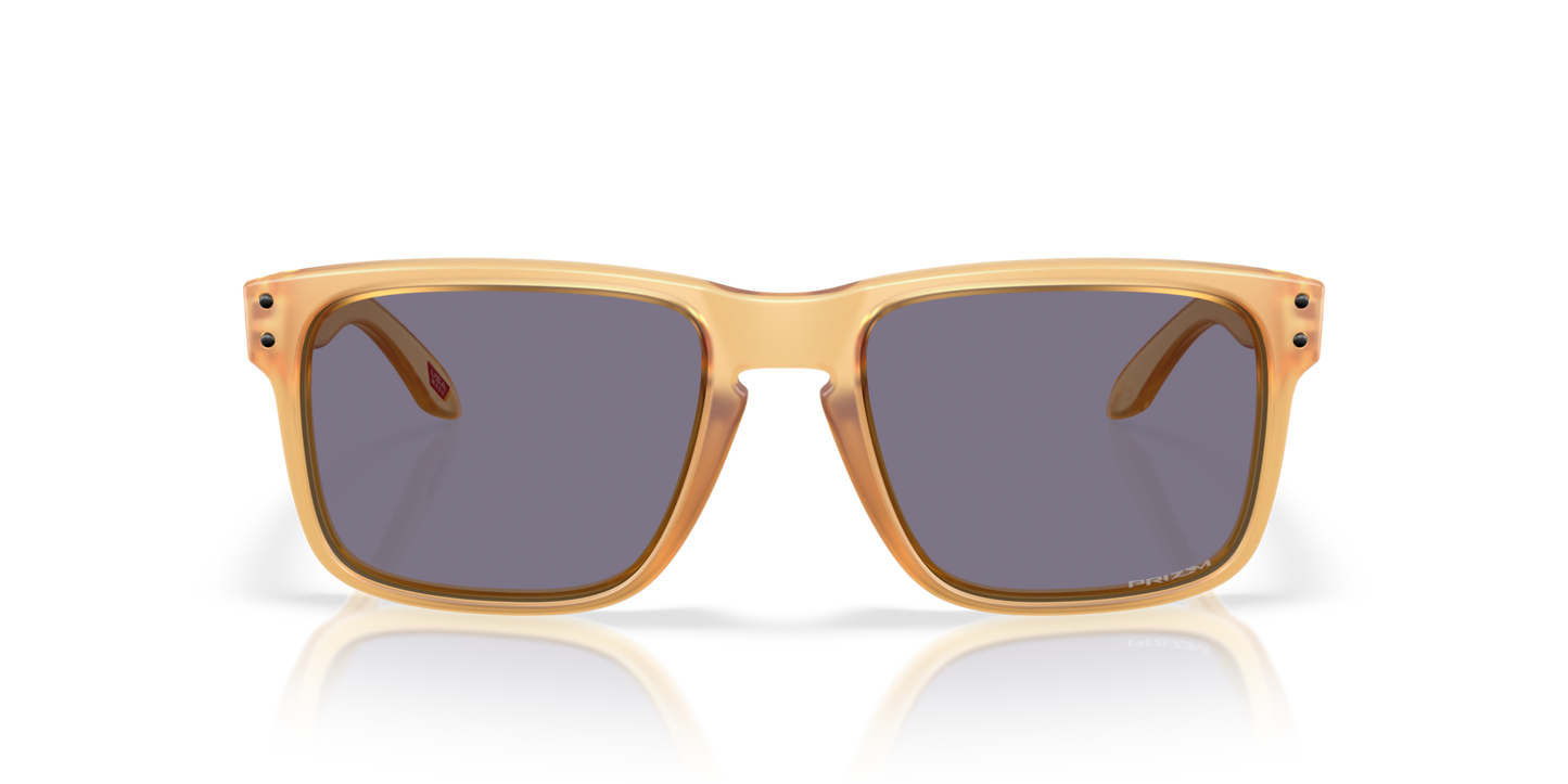 Oakley Holbrook Glasses