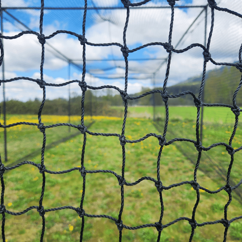 The Thumper Batting Cage