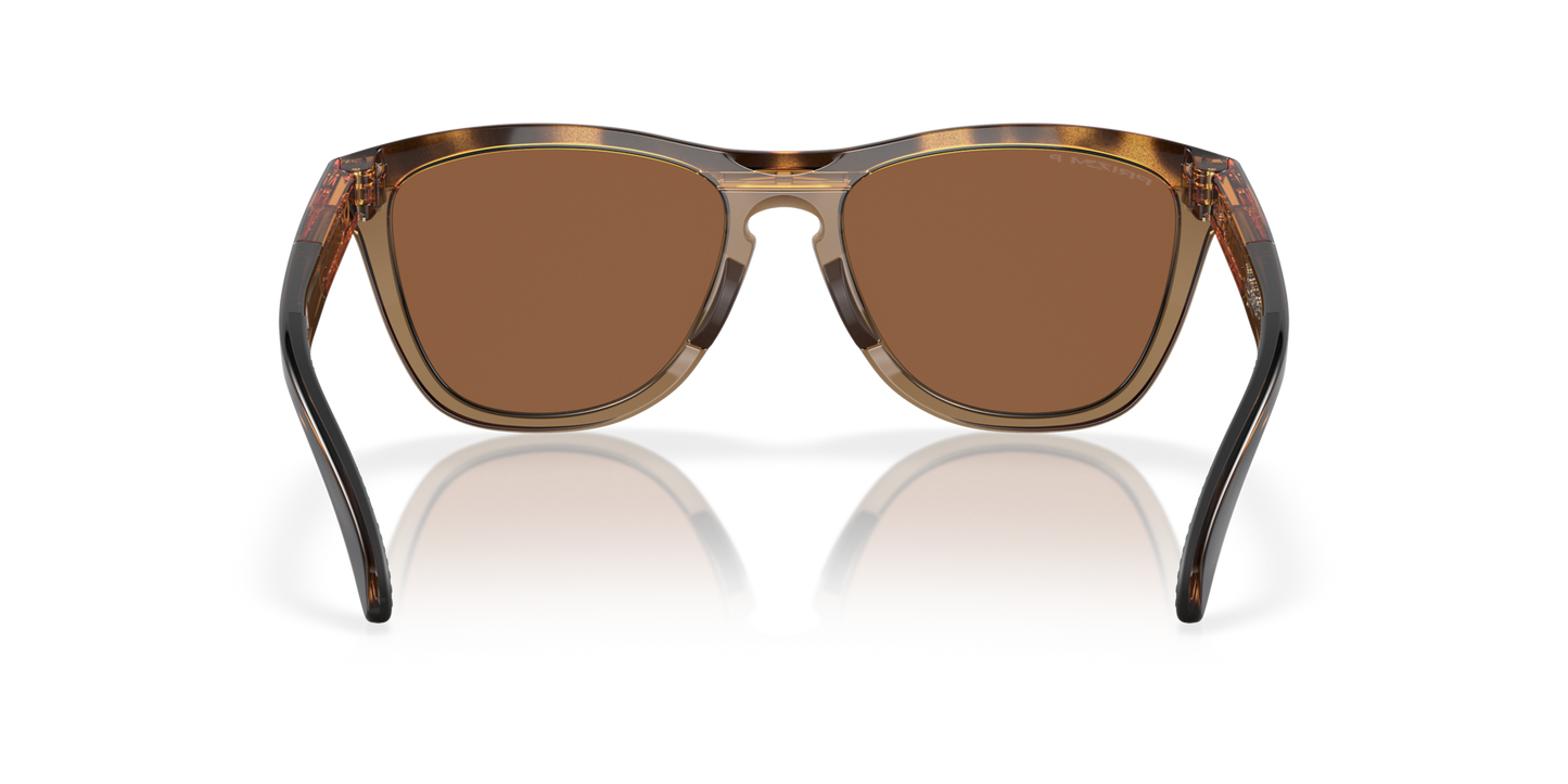 Oakley Frogskins Range Glasses