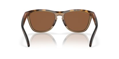 Oakley Frogskins Range Glasses