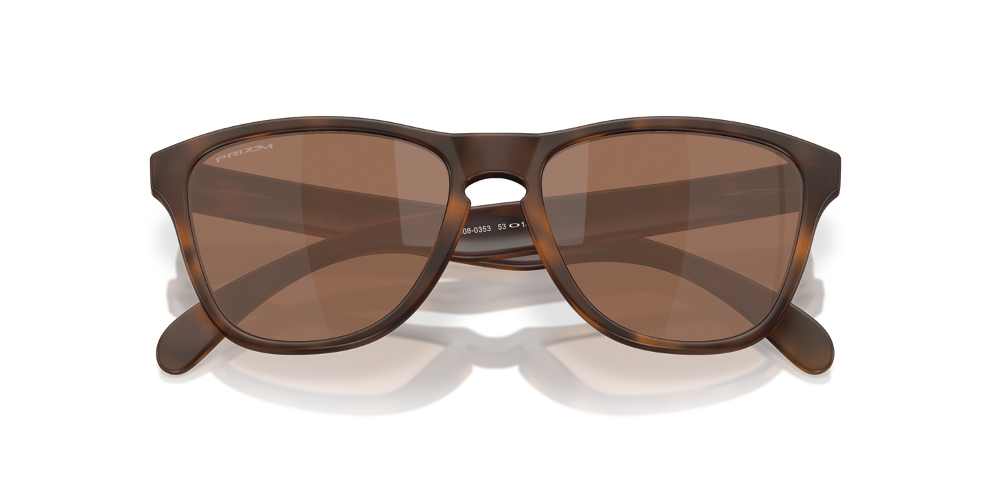 Oakley Frogskins S Glasses