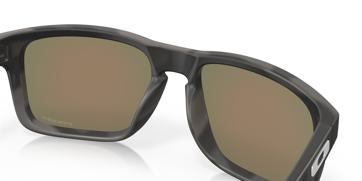 Oakley Holbrook Glasses
