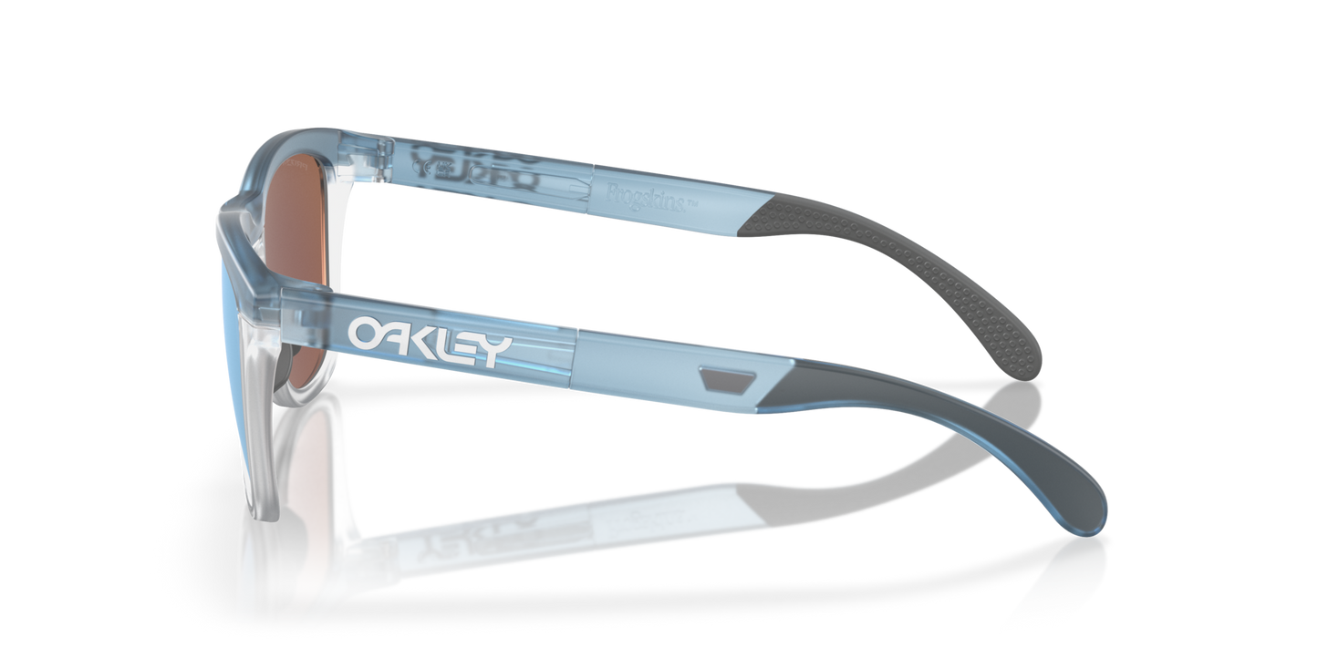Oakley Frogskins Range Glasses
