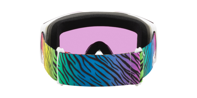 Oakley Fall Line M Snow Goggles