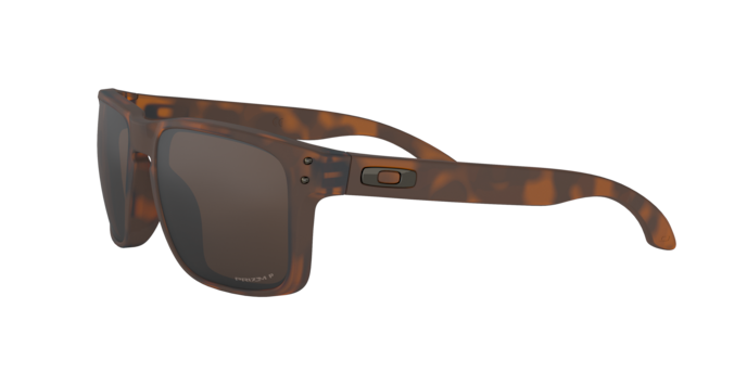 Oakley Holbrook Glasses