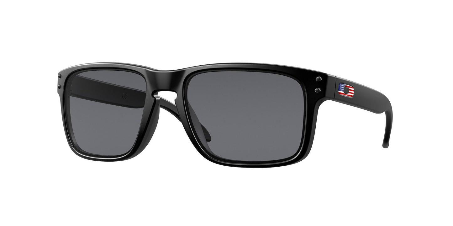 Oakley Holbrook Glasses