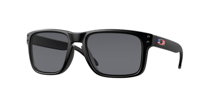 Oakley Holbrook Glasses