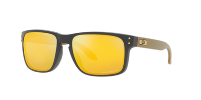 Oakley Holbrook Glasses